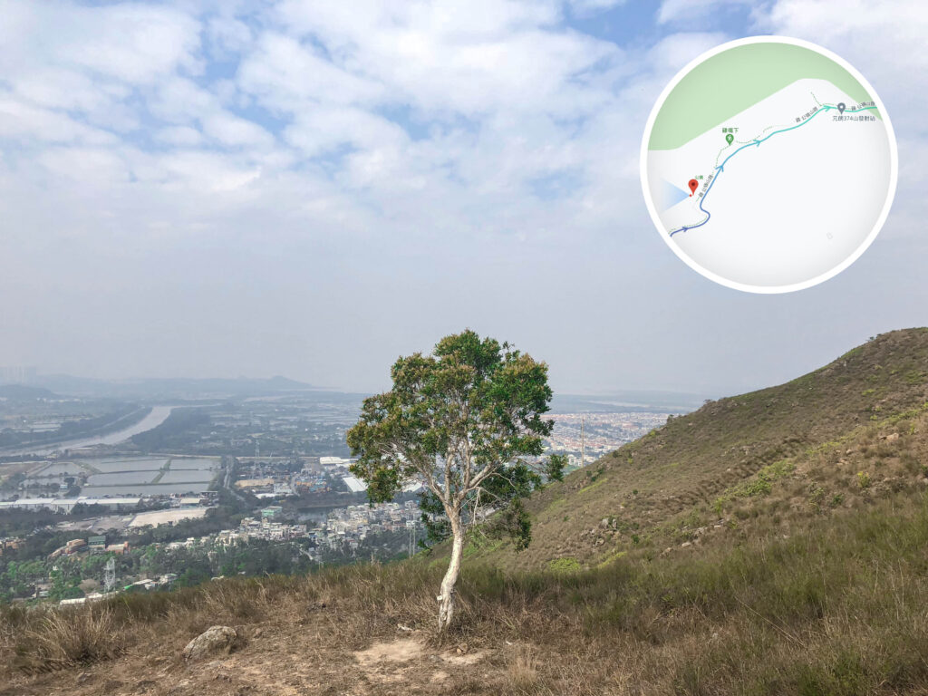 孤獨的樹 • 休憩處