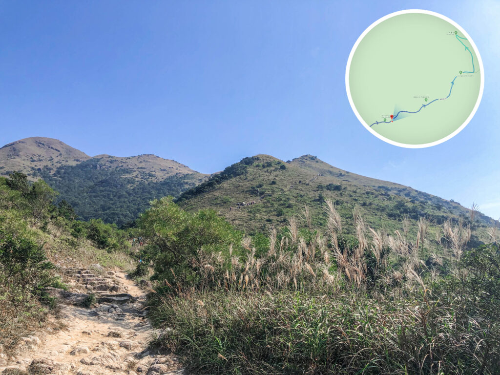 標距柱 • L017 《貳》