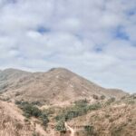 仰望 • 鳳凰山