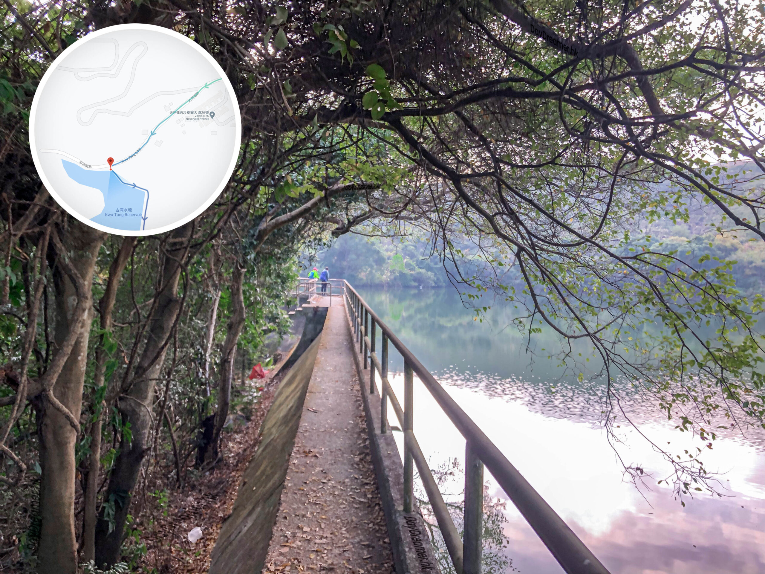 古洞水塘 • 入口