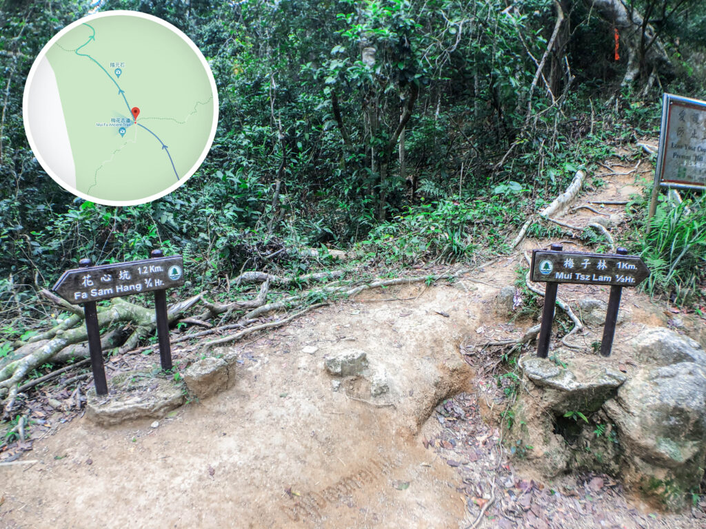 女婆坳 • 分岔口