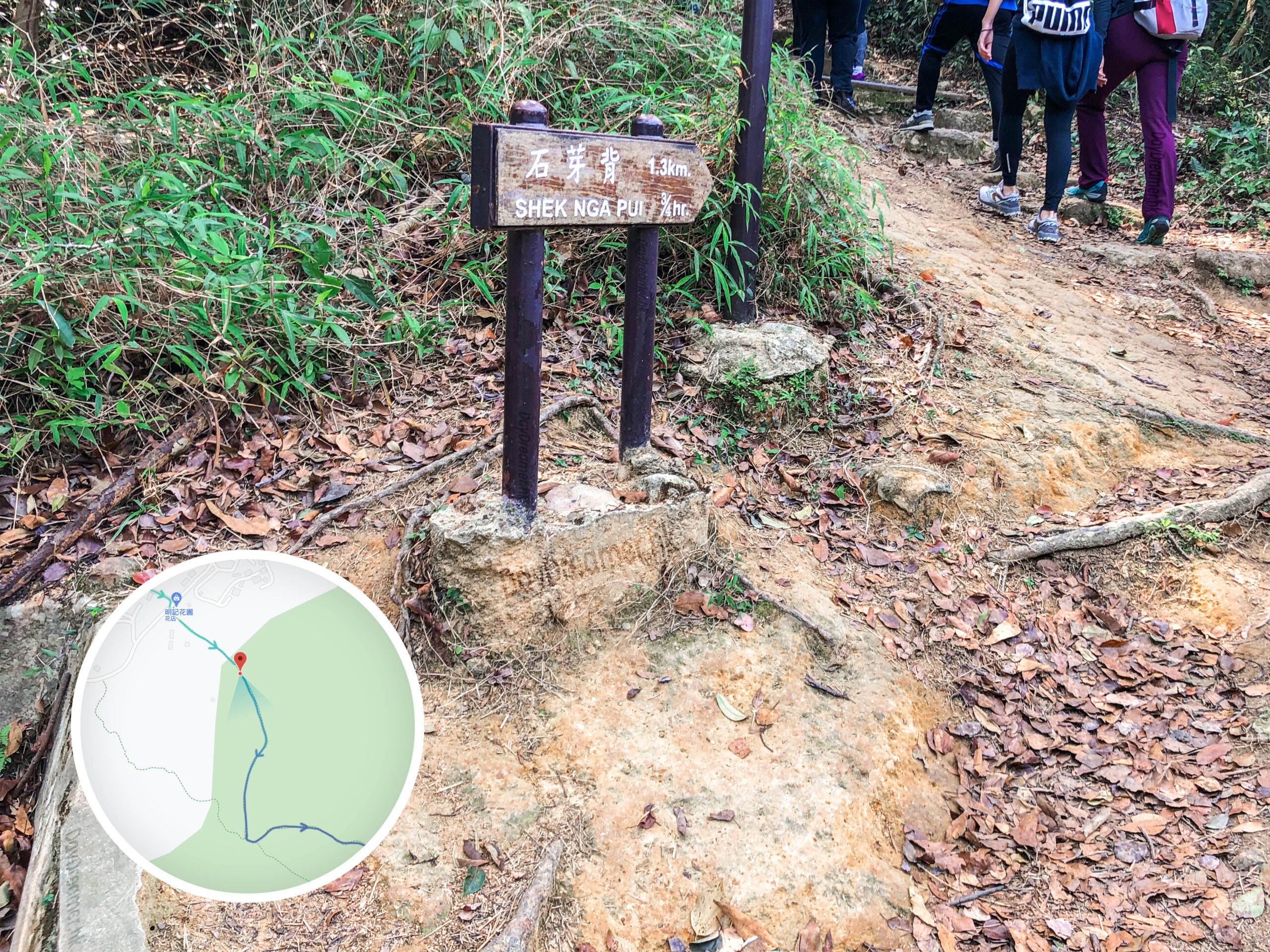 石芽背 • 指示路牌