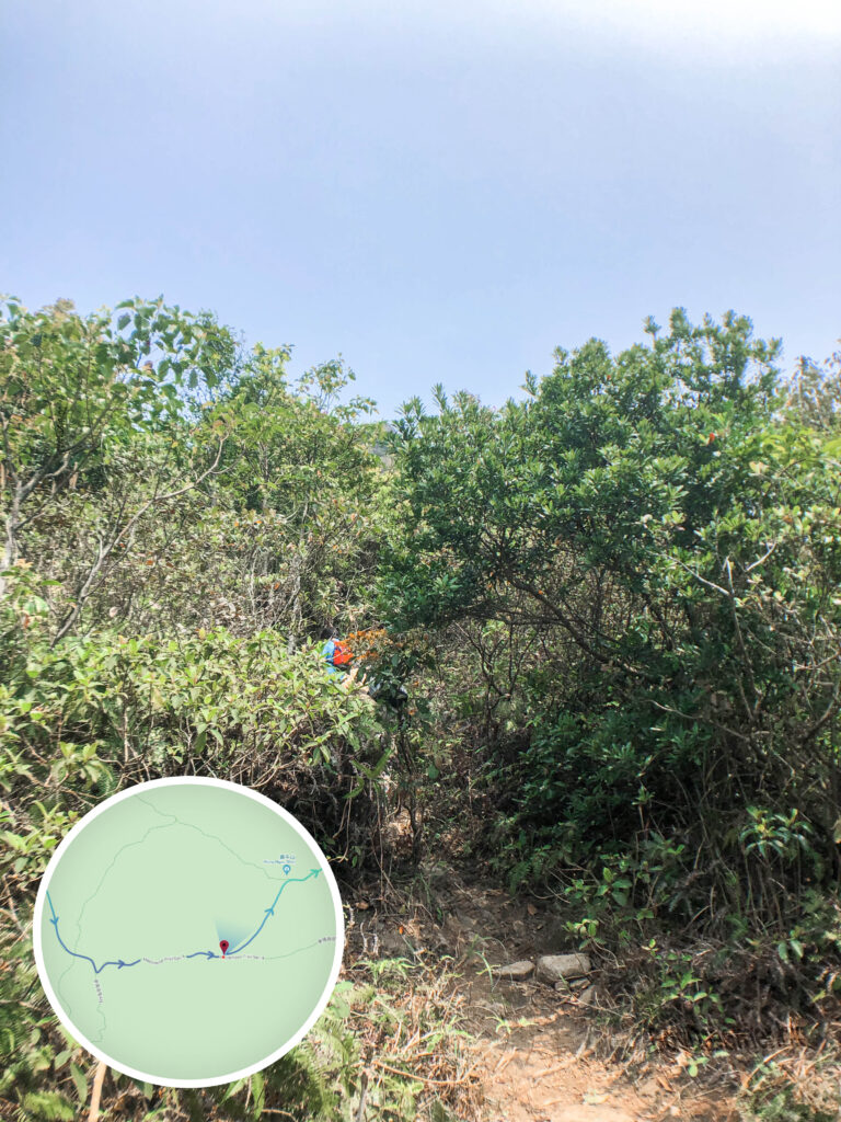 黃牛山 • 登山捷徑《入口》