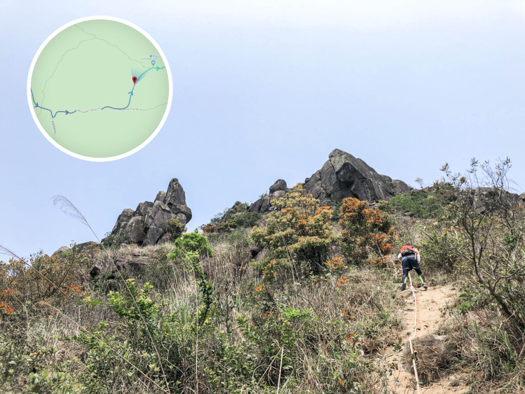 黃牛山 • 登山捷徑《中段》