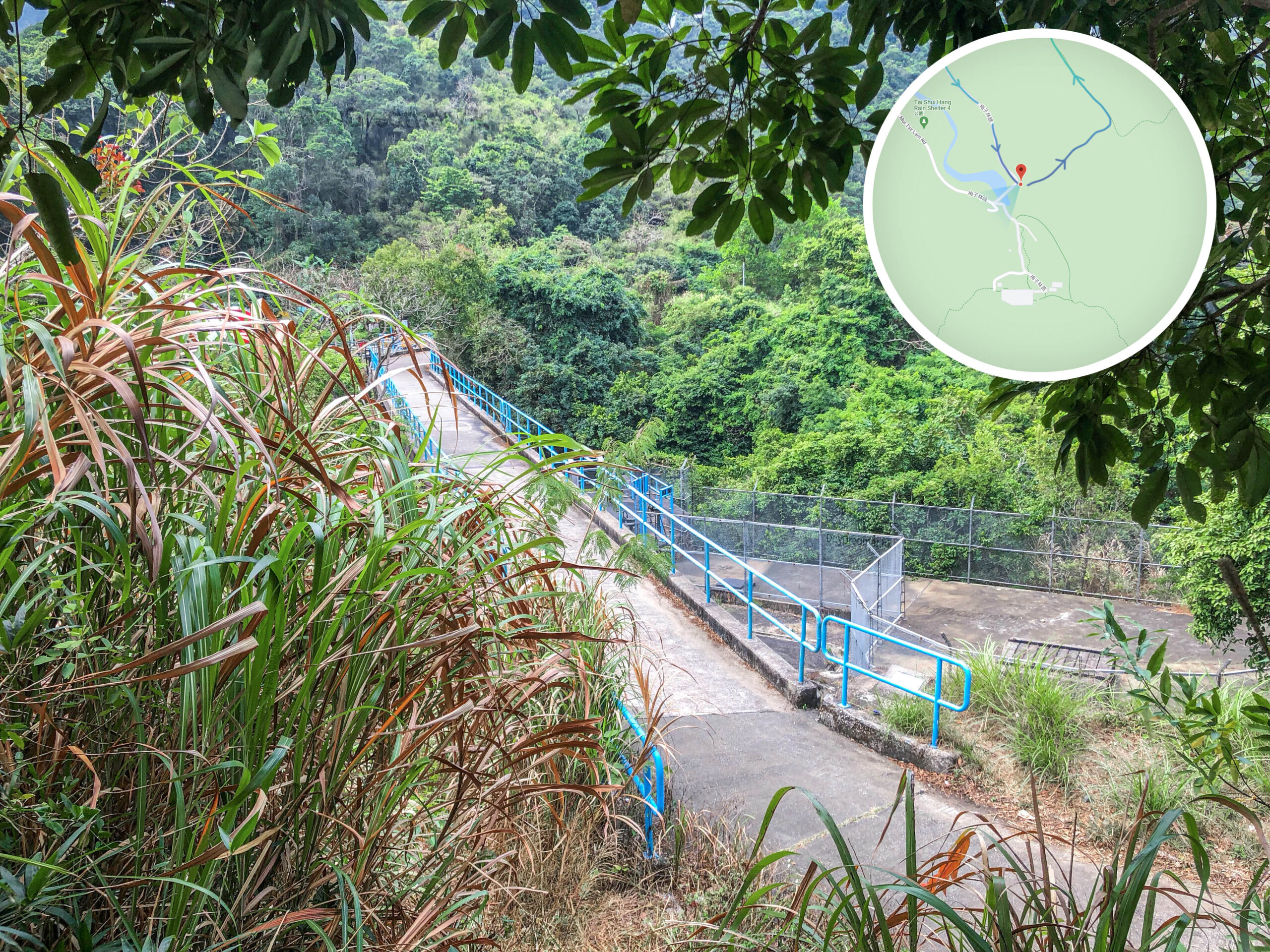 鹿巢石林 • 登山入口