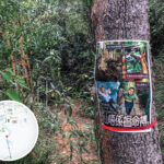 山中海報 • 行山唔係搵命搏