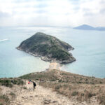 玉桂山 • 腳下的鴨脷排