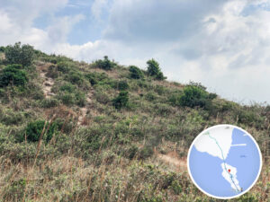 鴨脷排 • 山腰