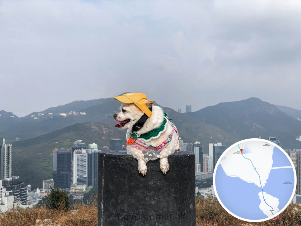 玉桂山 • 標高柱《貳》 玉桂山 • 標高柱《貳》