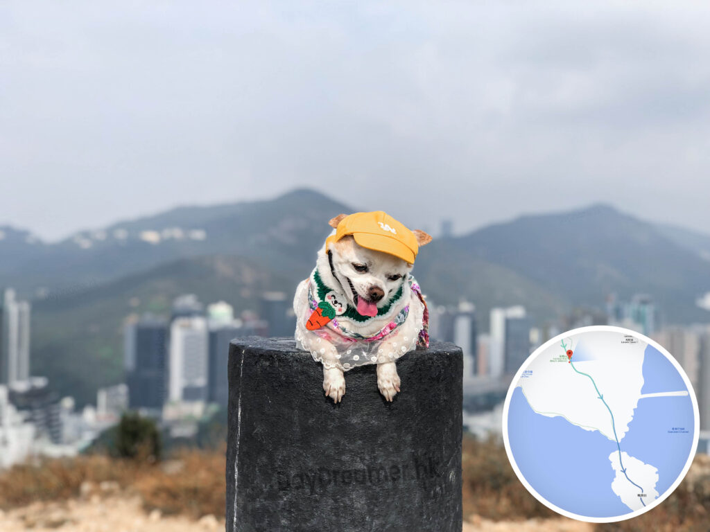 玉桂山 • 標高柱《壹》 玉桂山 • 標高柱《壹》