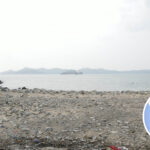 鴨脷排 • 連島沙洲