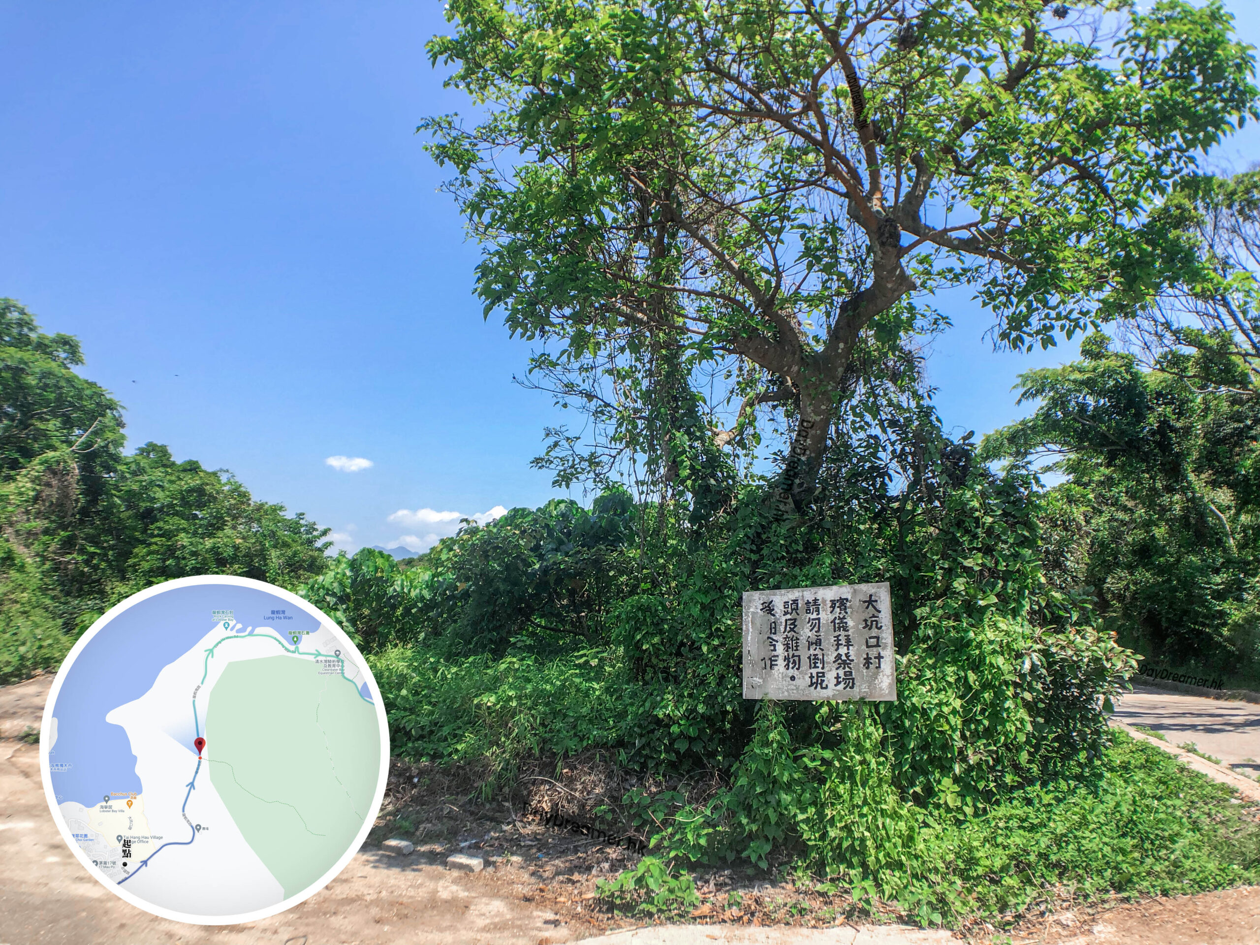 龍蝦灣路《貳》