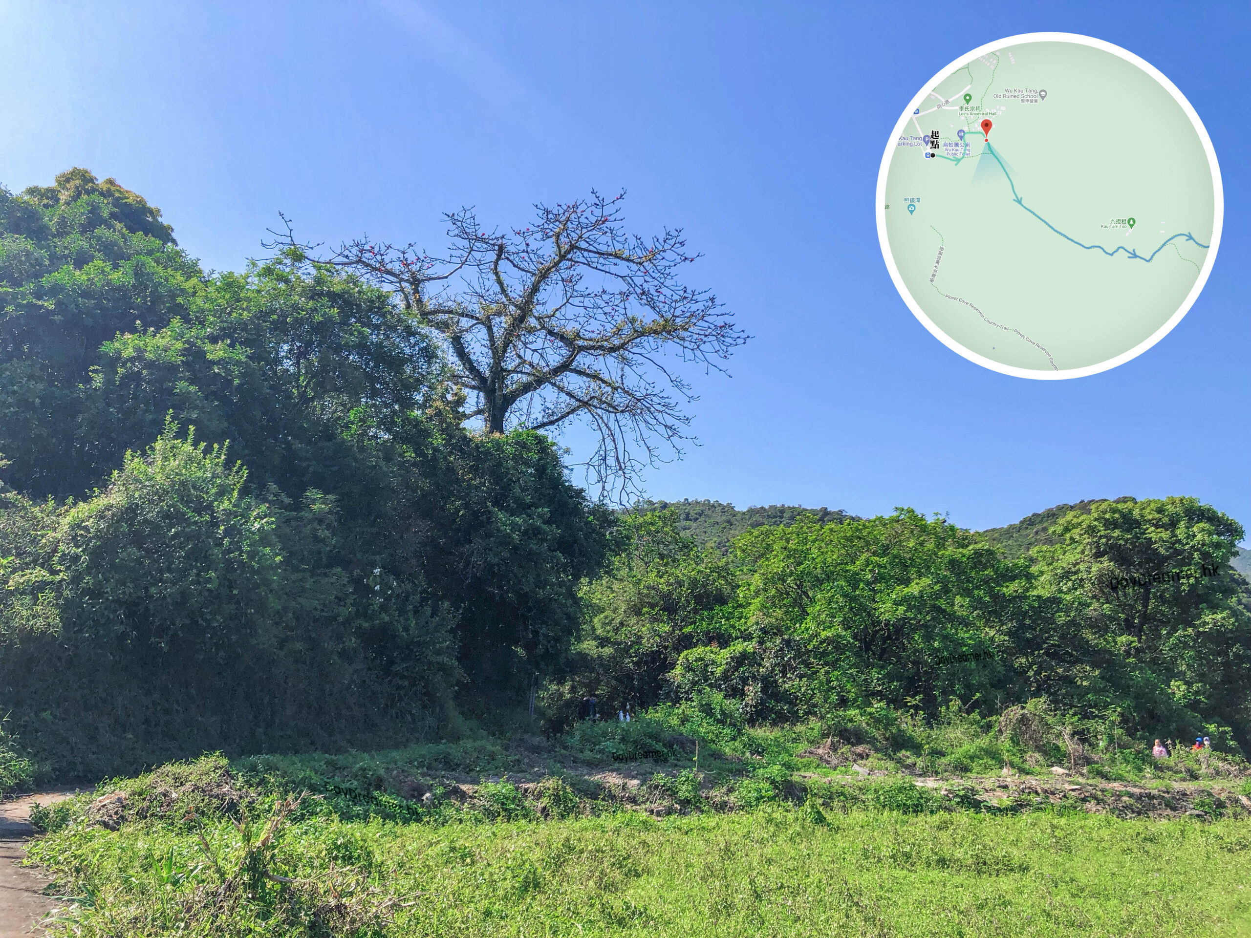 印洲塘郊遊徑《貳 。 貳》