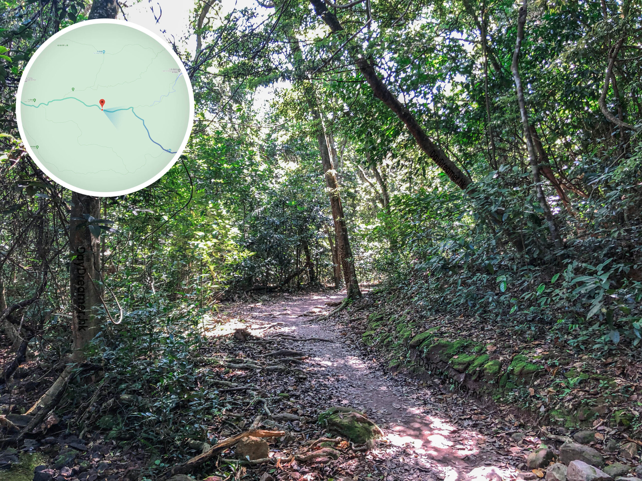 苗三古道 / 印洲塘郊遊徑《壹》