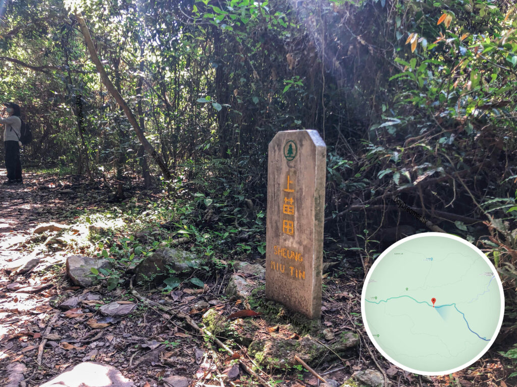 上苗田 • 石刻路牌