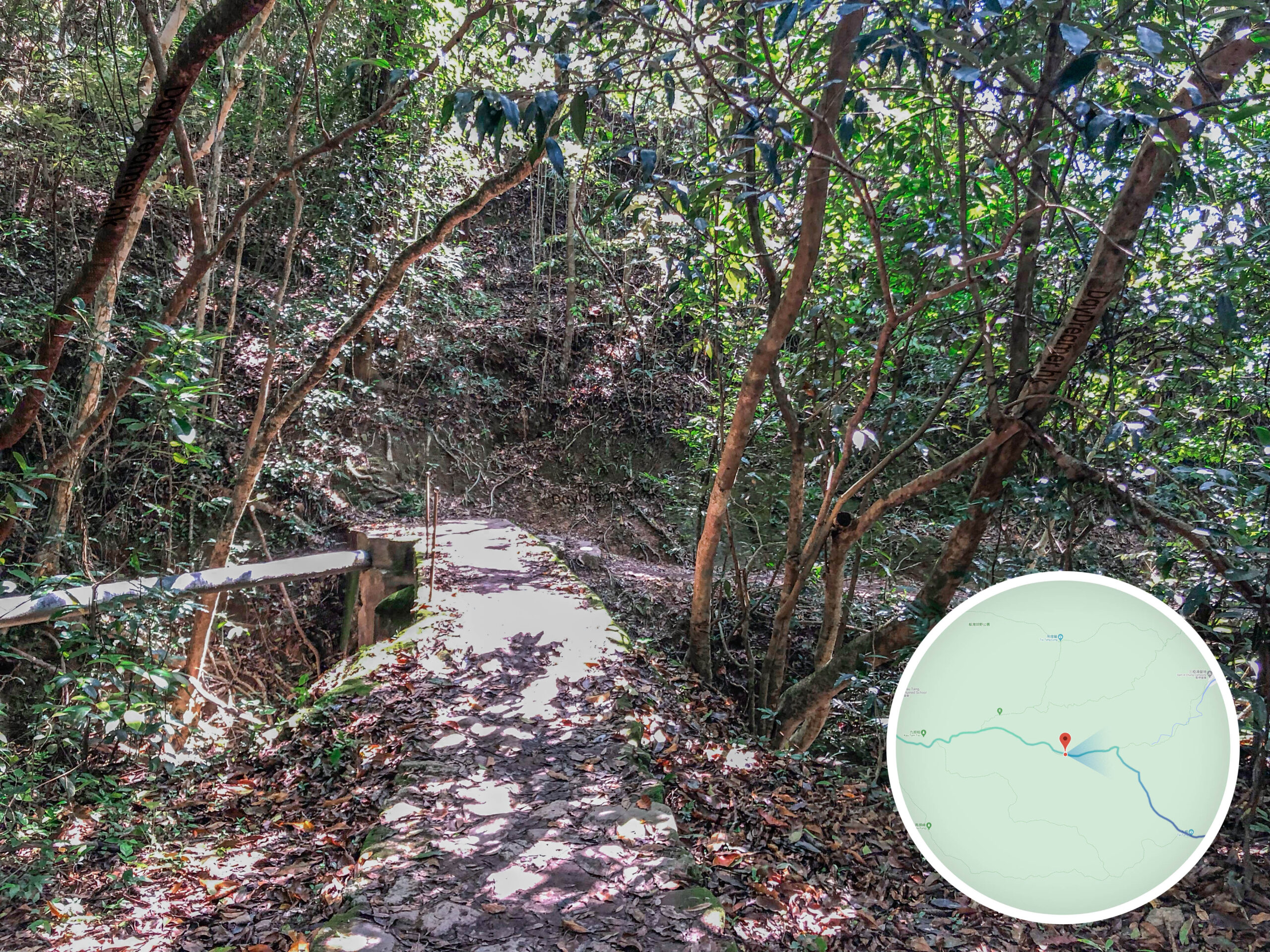 上苗田 • 路段