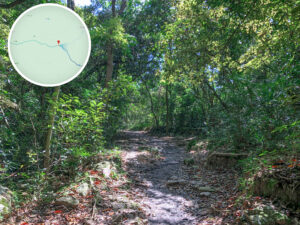 下苗田 • 路段《壹》