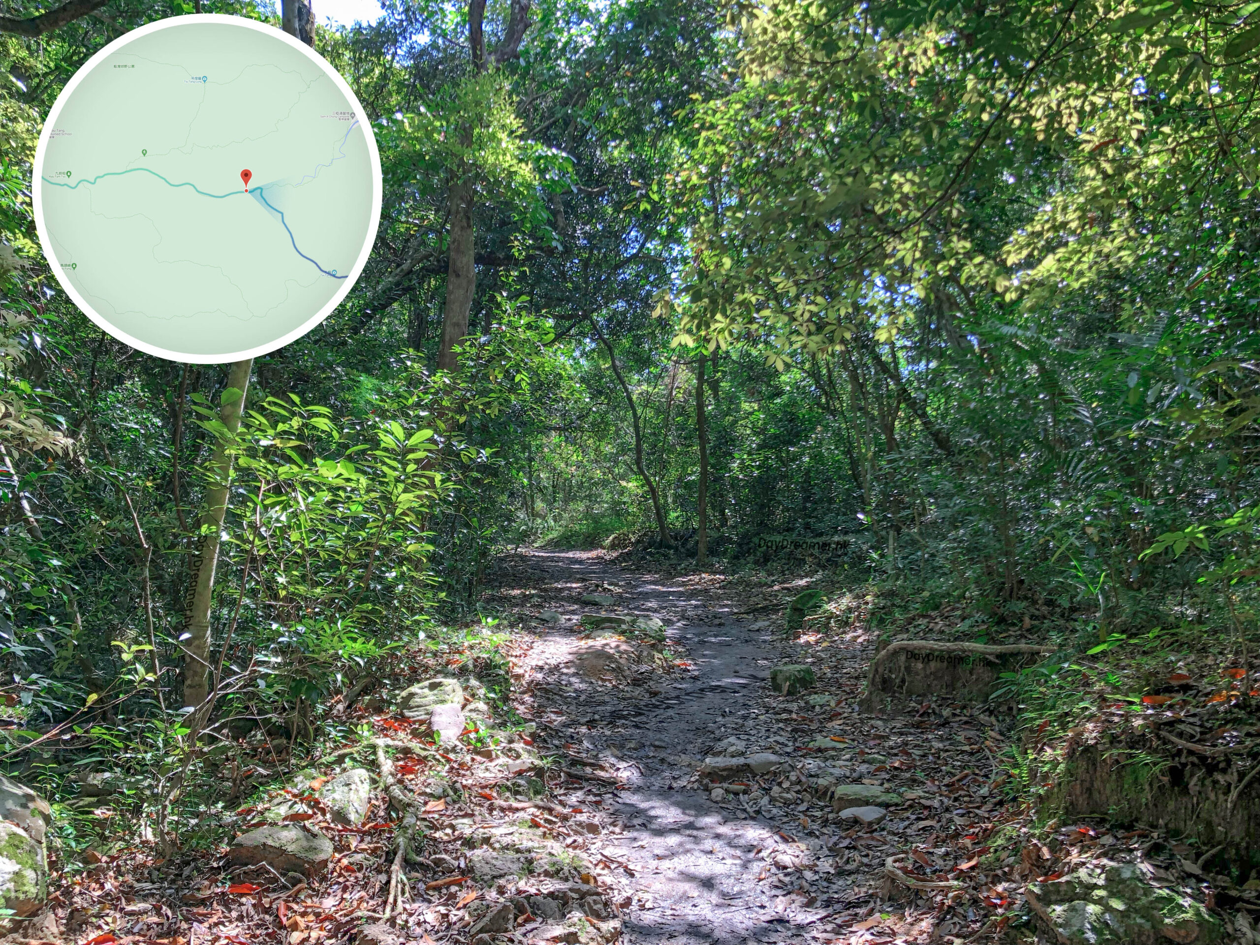 下苗田 • 路段《壹》