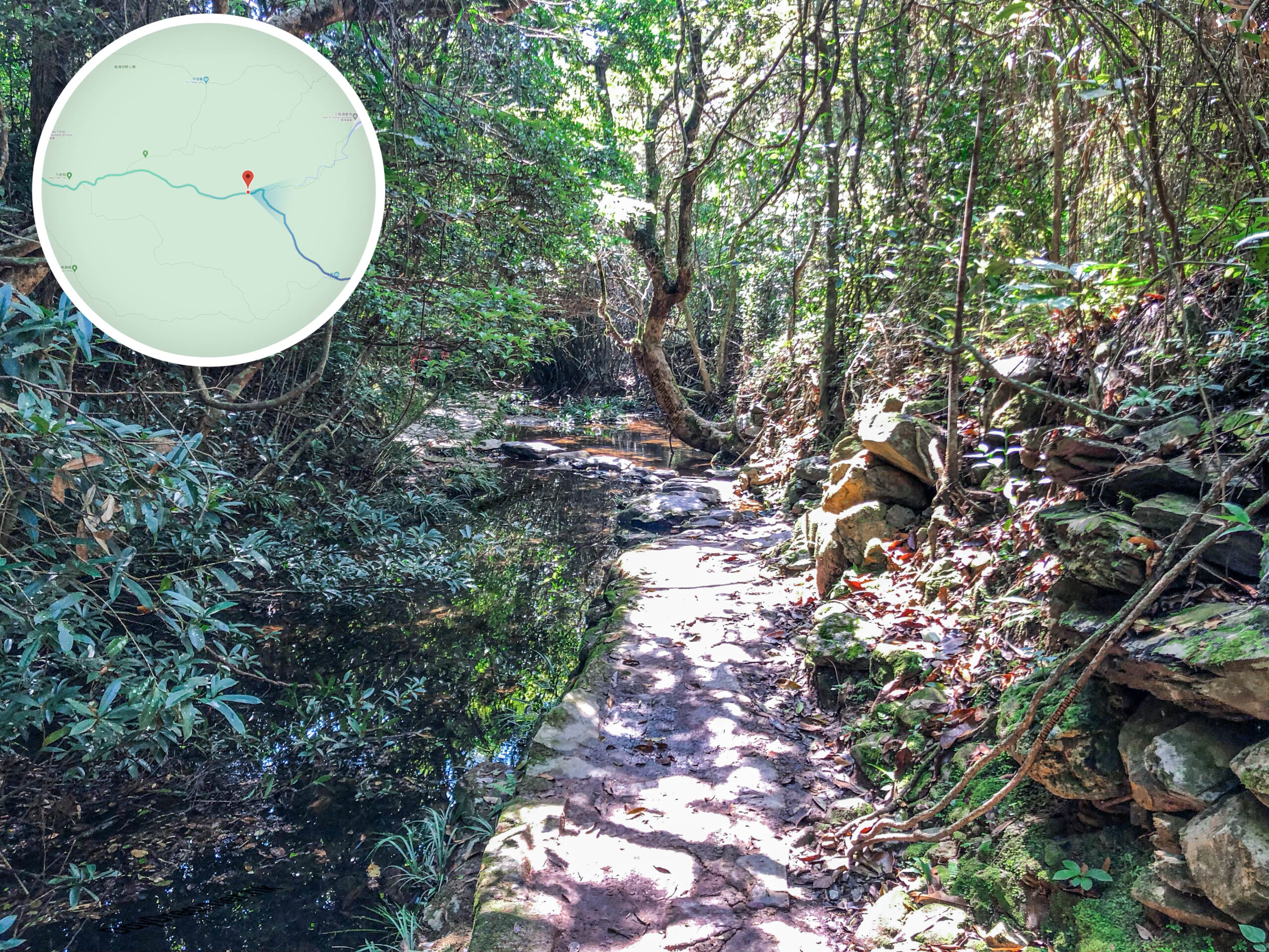 下苗田 • 路段《貳》