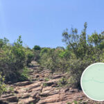 苗三古道 → 船灣淡水湖郊遊徑 • 路段《壹》