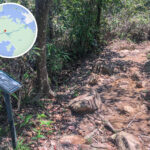 標距柱 • C2611《壹》