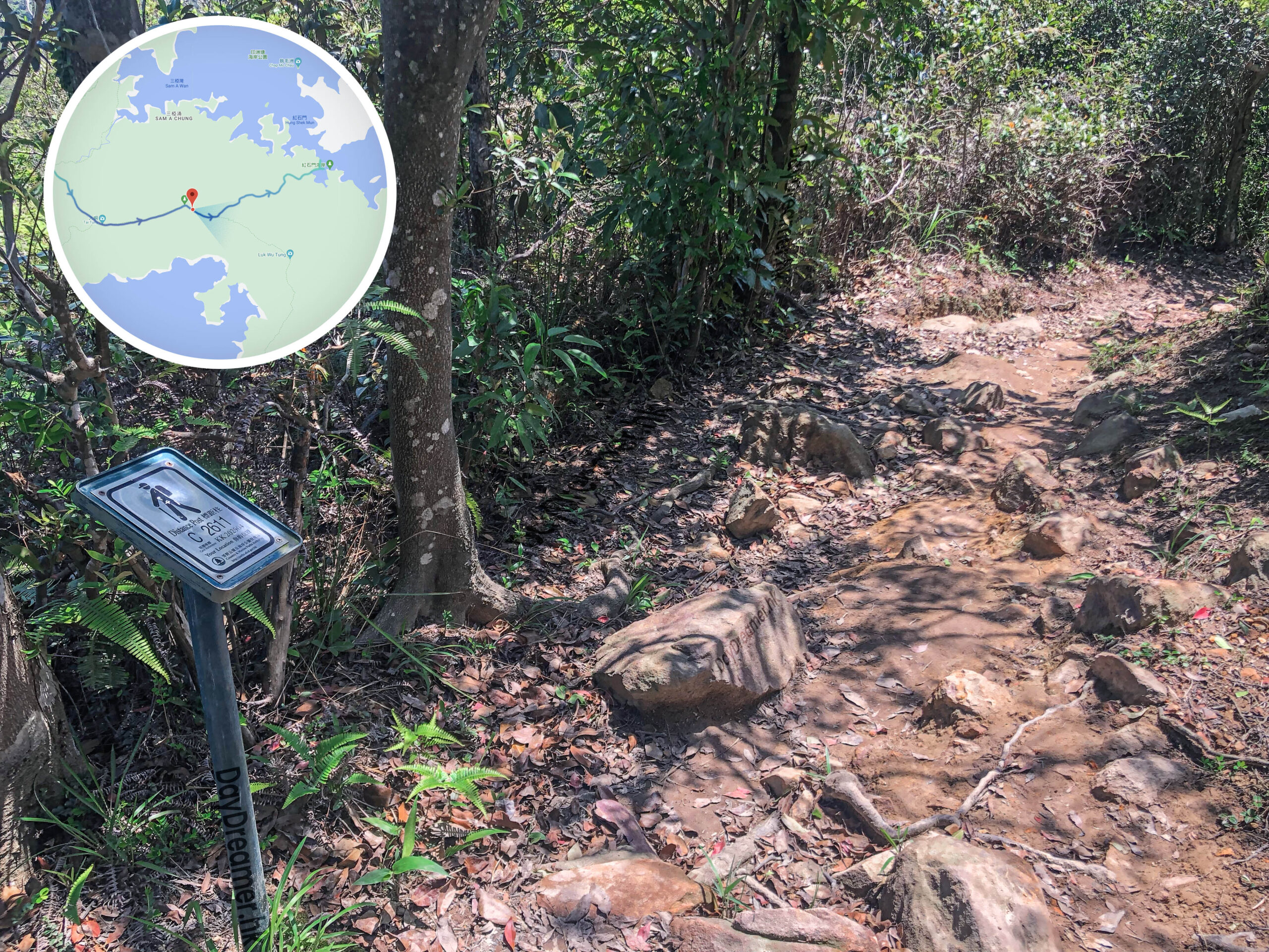 標距柱 • C2611《壹》