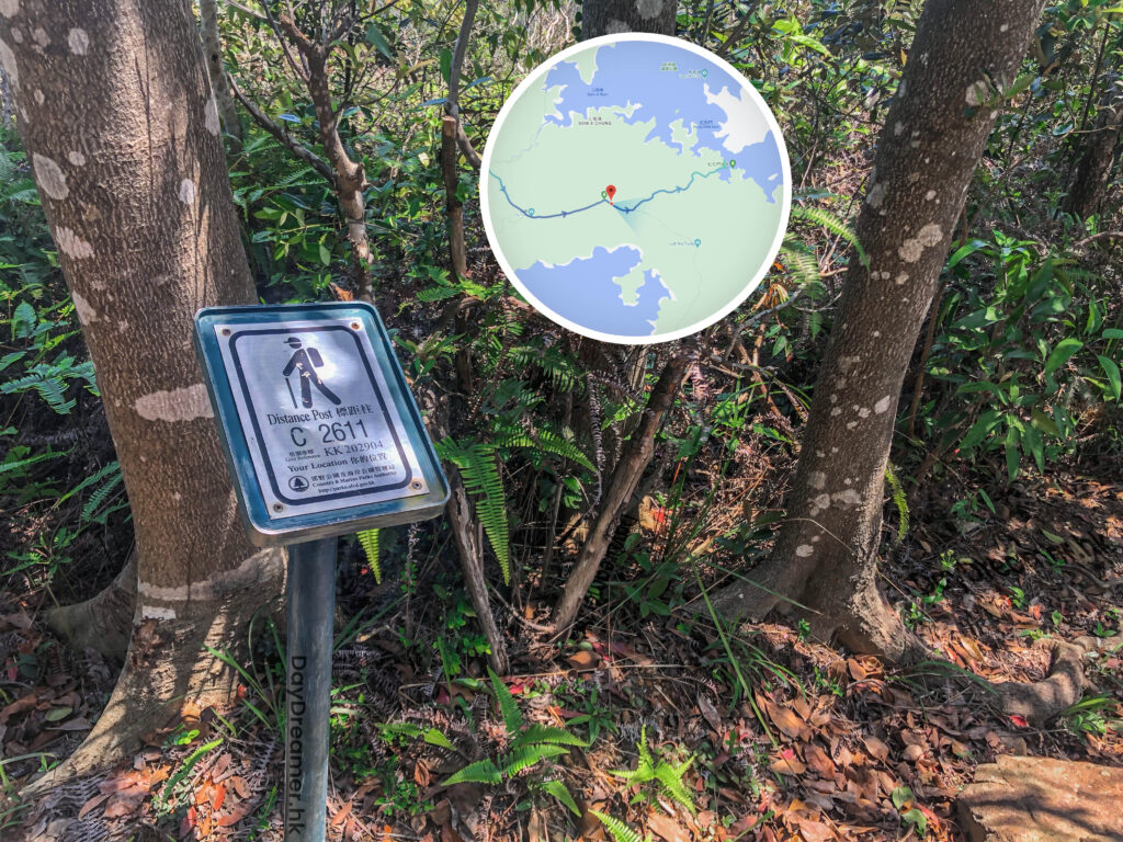 標距柱 • C2611《貳》