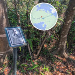 標距柱 • C2611《貳》