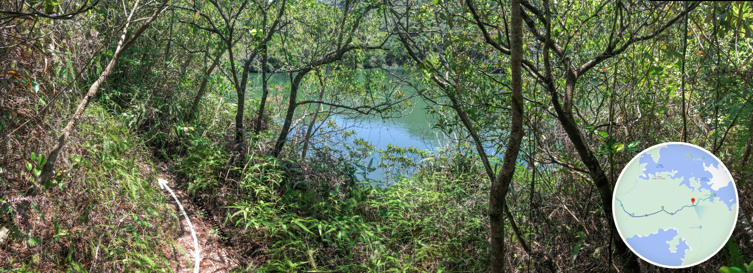 牛角涌水塘《壹》