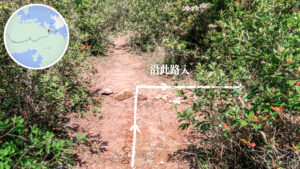 紅石門徑 • 分岔口《叄。壹》