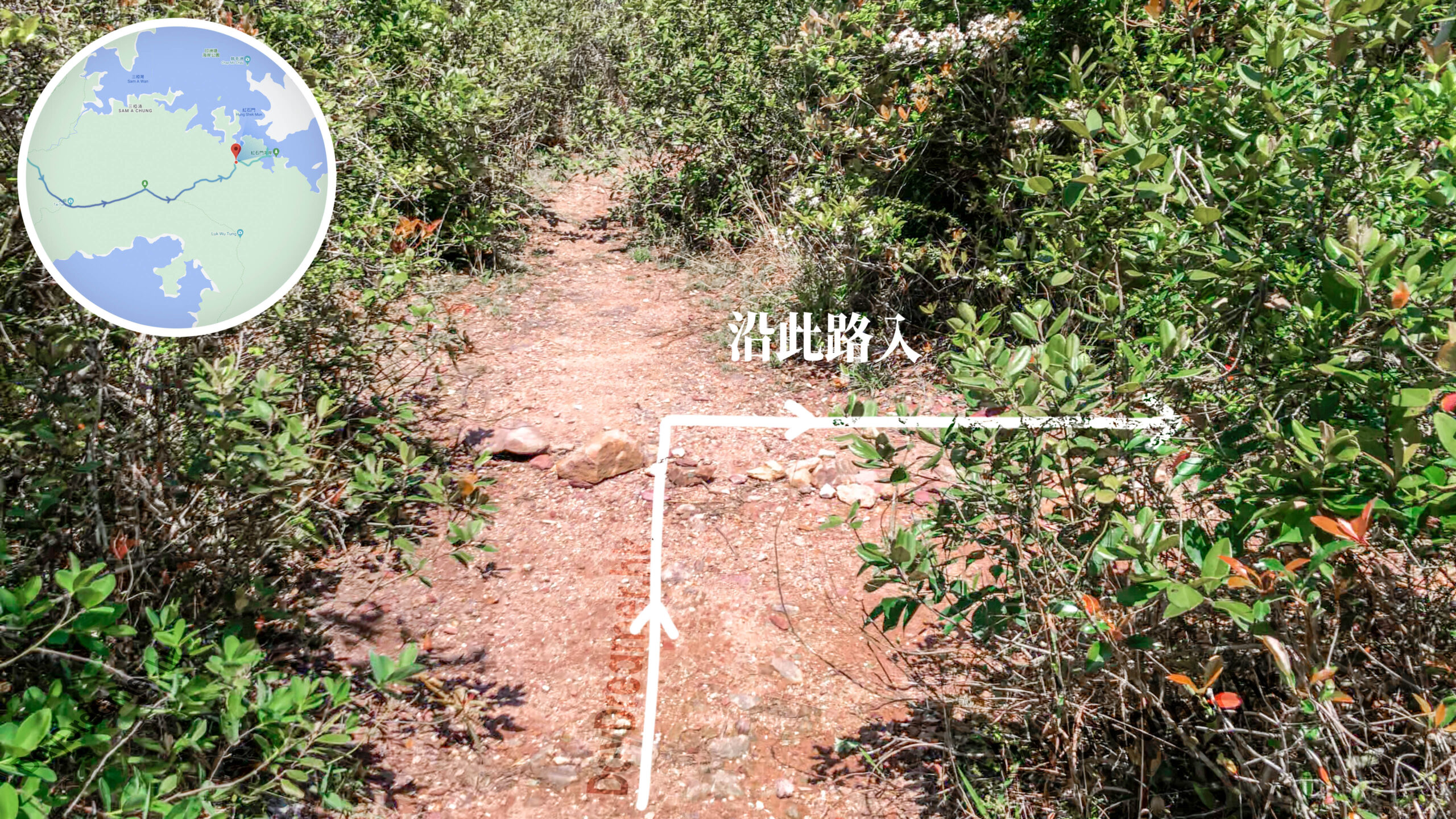 紅石門徑 • 分岔口《叄。壹》