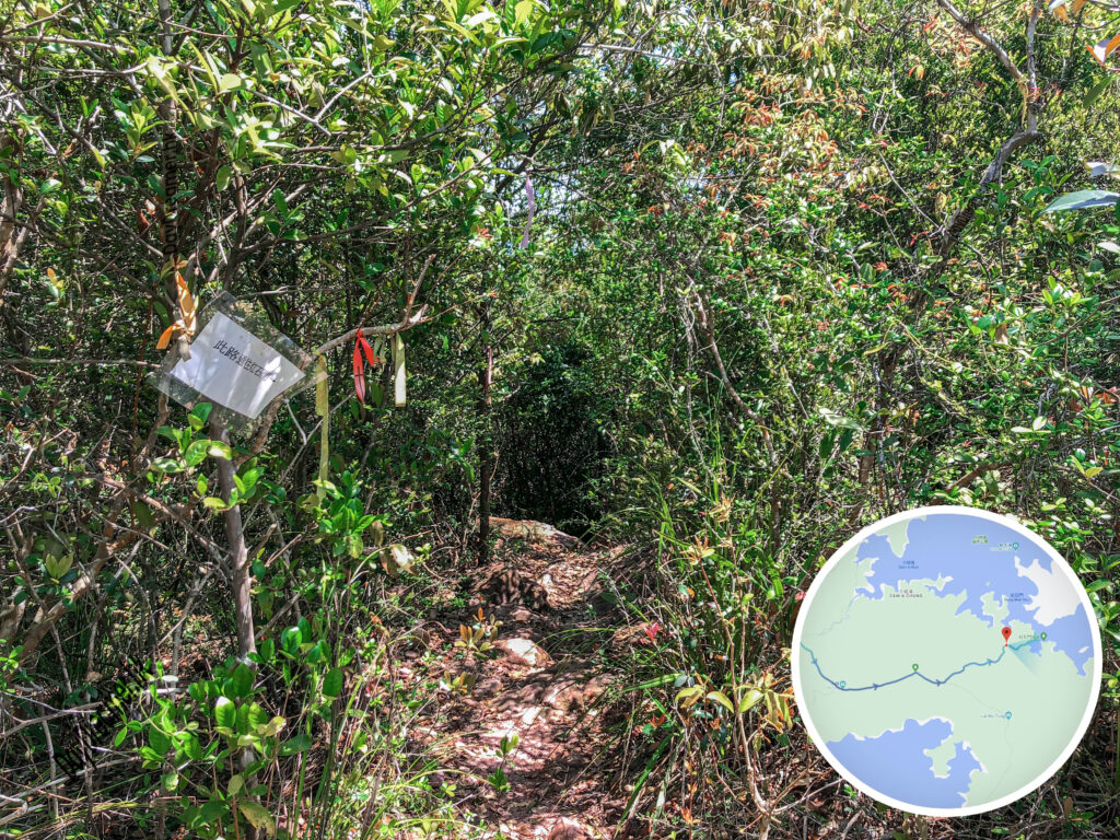 紅石門徑 • 分岔口《叄。叄》