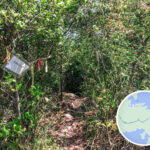 紅石門徑 • 分岔口《叄。叄》