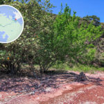 紅石門海岸《壹》