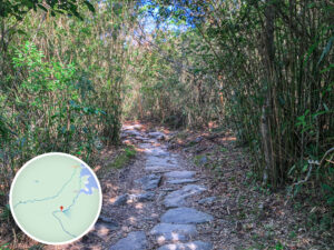 苗三古道 / 印洲塘郊遊徑《貳》