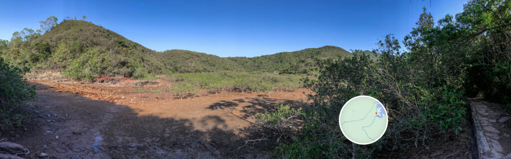 三椏涌 • 紅樹林