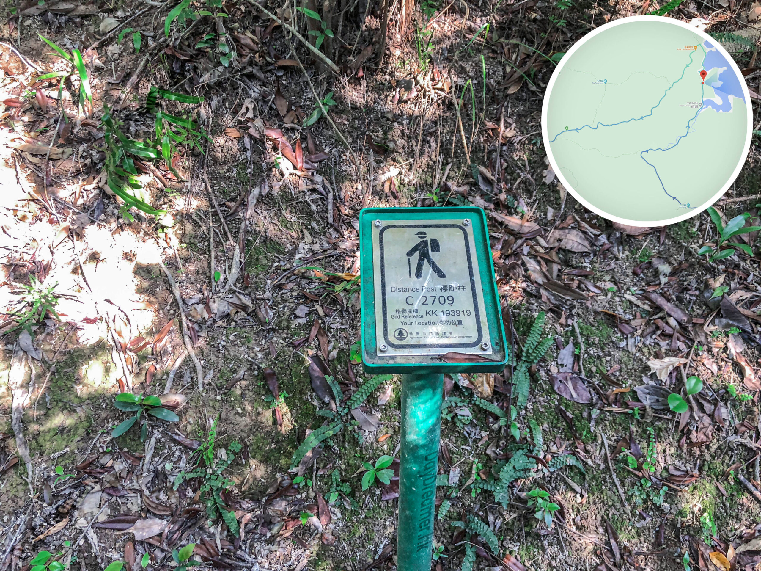 標距柱 • C2709《貳》