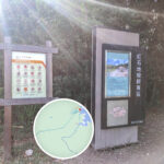 紅石地貌觀賞區