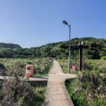 三椏村 • 分岔口