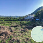 褔利茶室《壹》