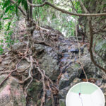 中狗牙坑《貳。貳》