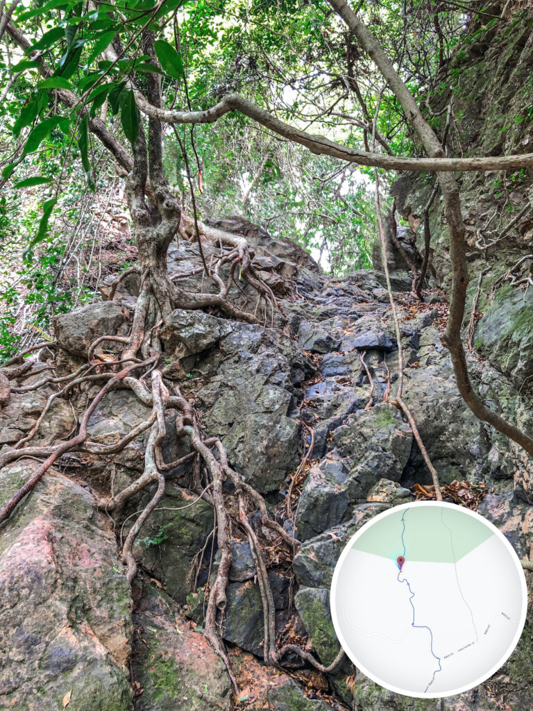 中狗牙坑《貳。貳》