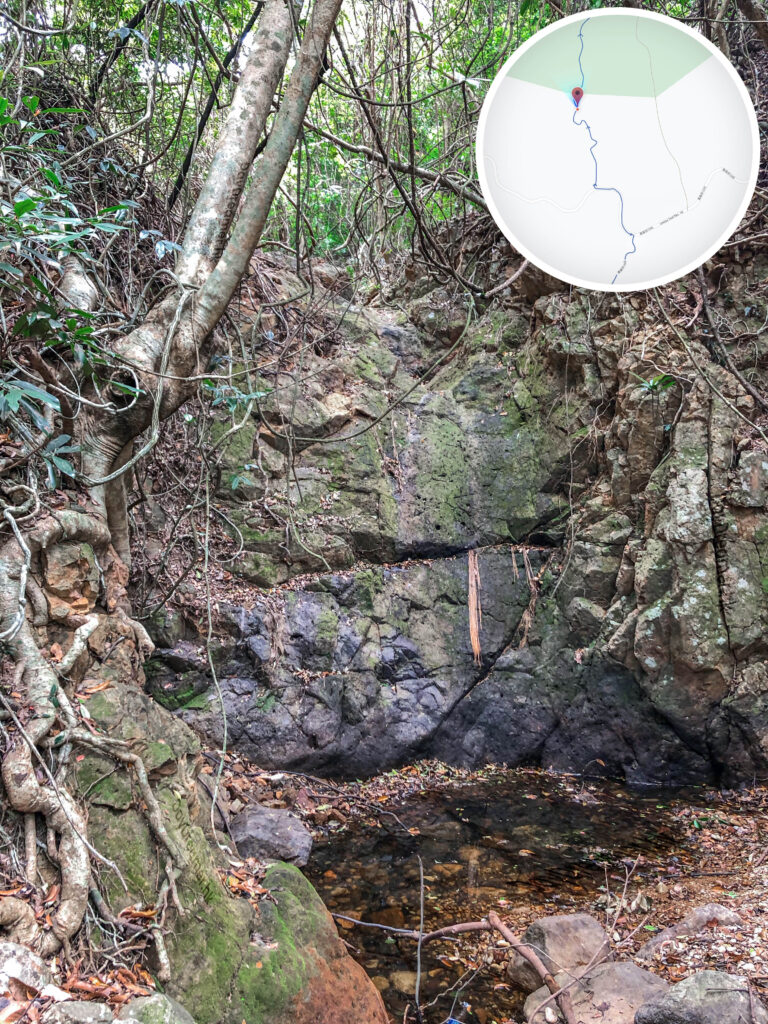 中狗牙坑《貳。壹》