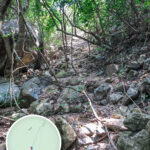 中狗牙坑 • 中段