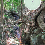 中狗牙坑《柒》