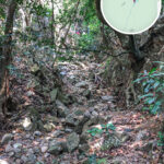 中狗牙坑《捌》