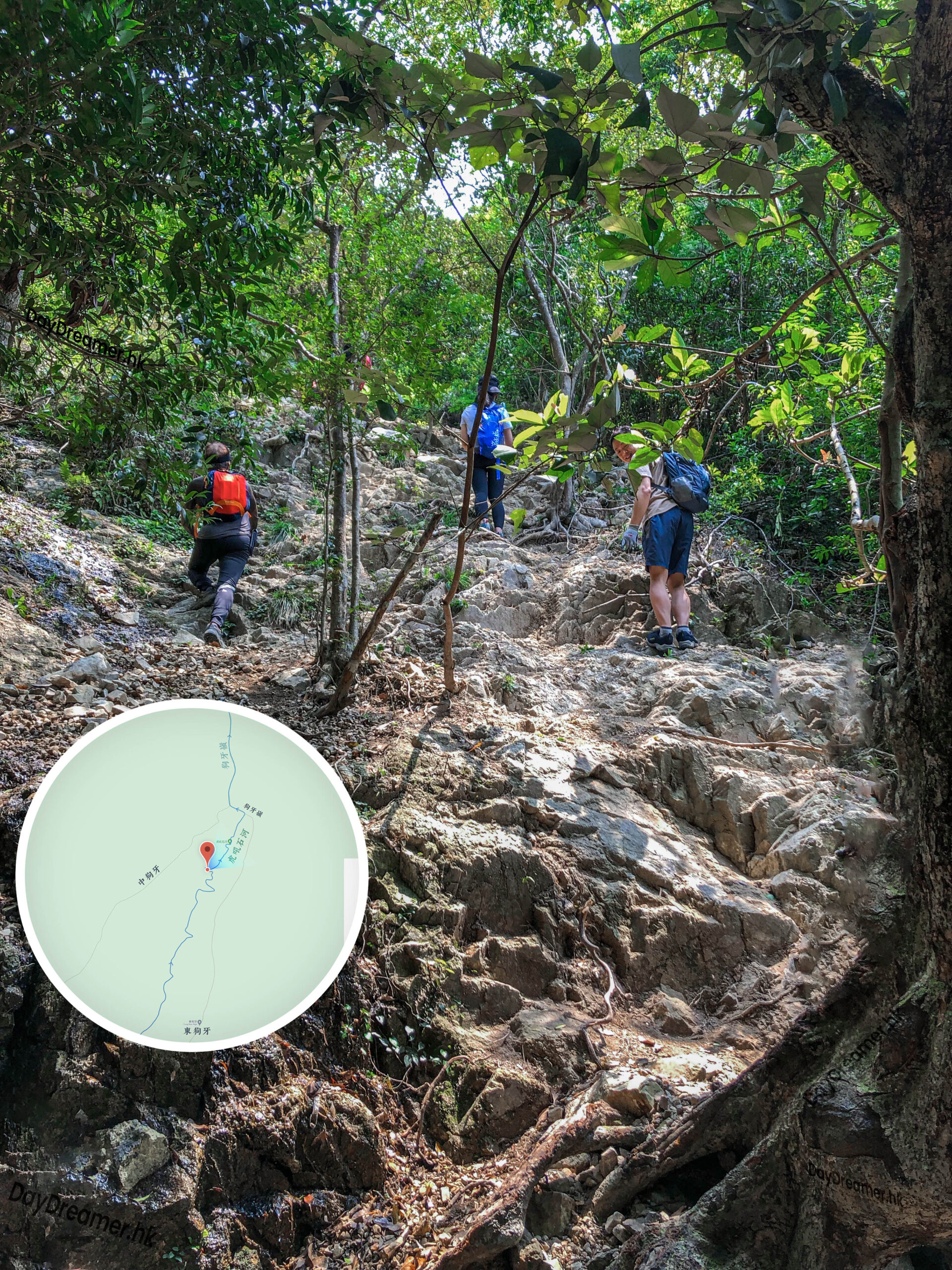 虎吼石河 • 入口《壹》