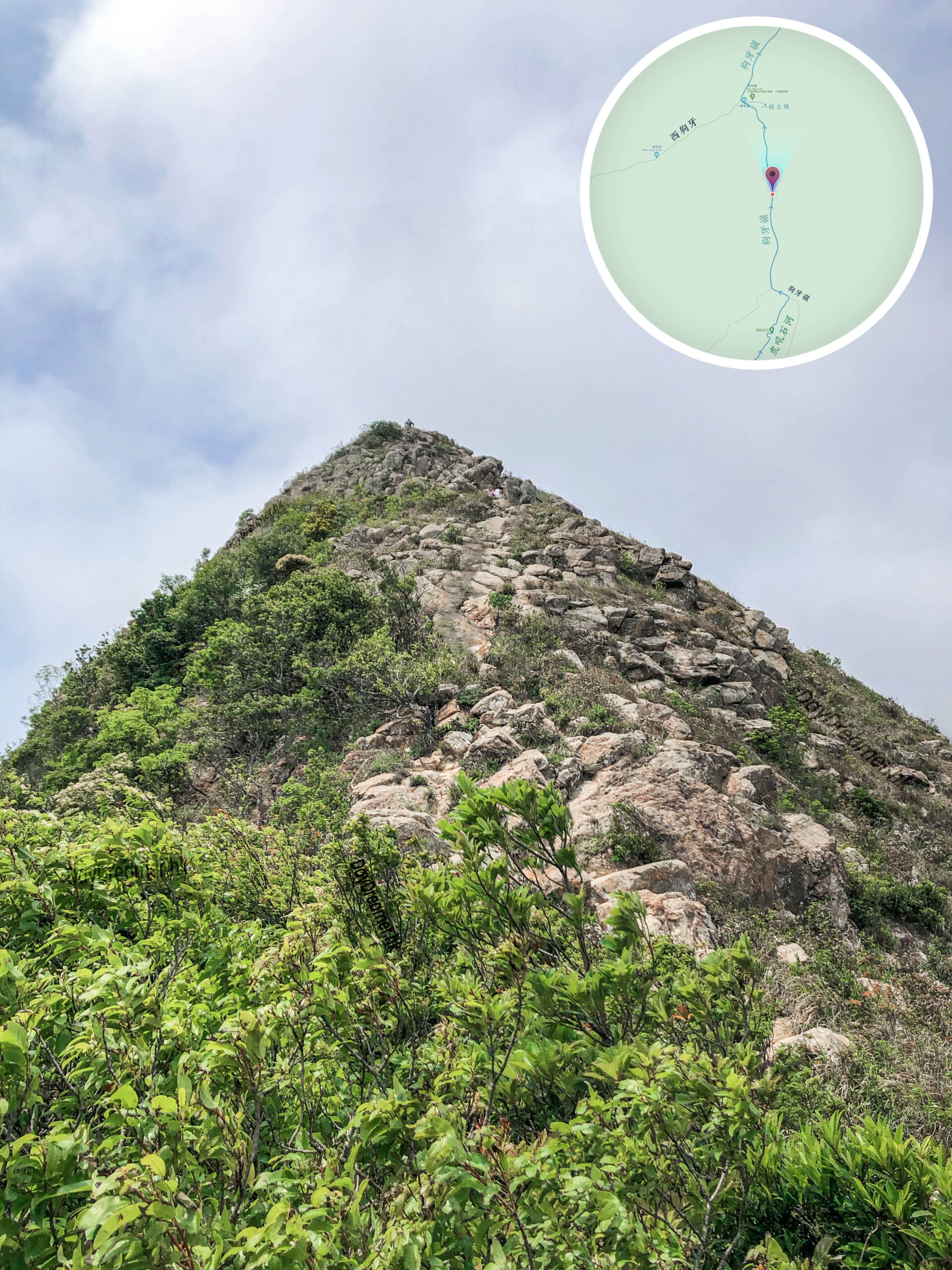 狗牙嶺《貳。壹》