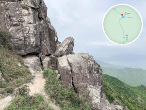 小鳥回頭《壹》