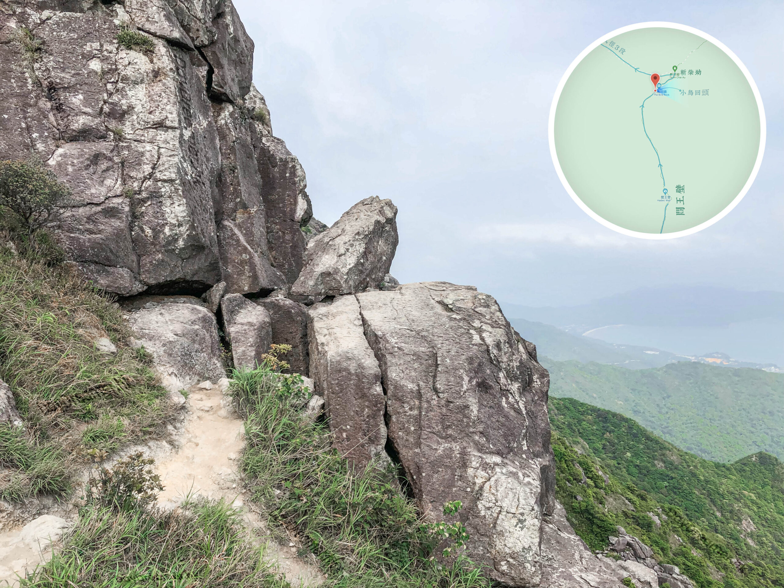 小鳥回頭《壹》